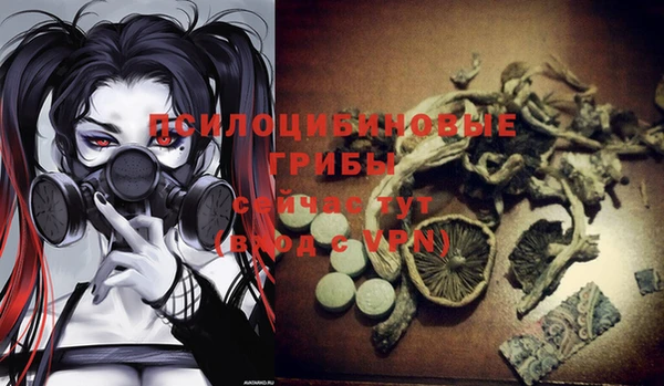 гашик Нефтегорск