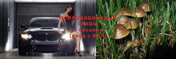 марихуана Новодвинск