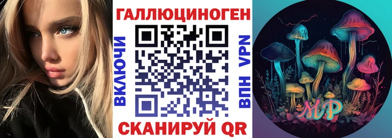 закладка  Лысьва  Псилоцибиновые грибы Psilocybine cubensis 