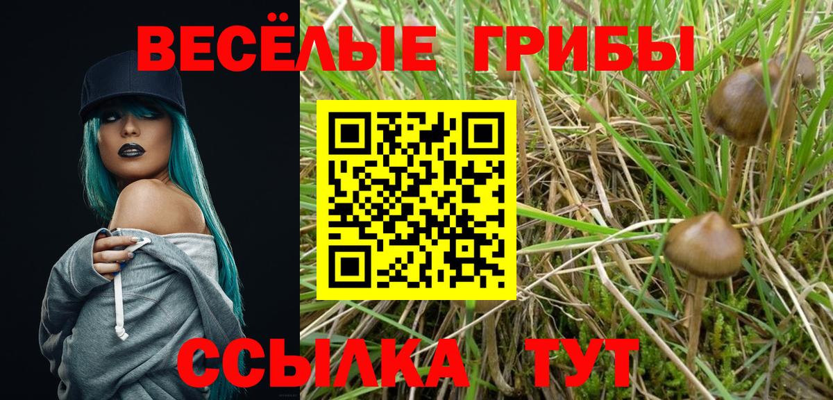 Галлюциногенные грибы Cubensis Лысьва