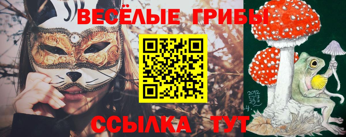Галлюциногенные грибы Cubensis  Галлюциногенные грибы MAGIC MUSHROOMS  Вход с VPN  Лысьва 