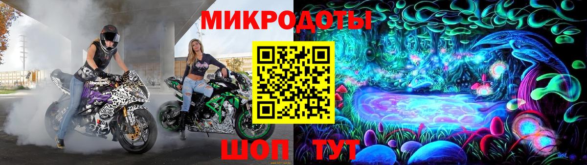 Галлюциногенные грибы Psilocybe Лысьва